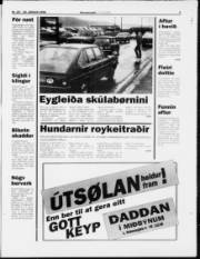 Síða 3