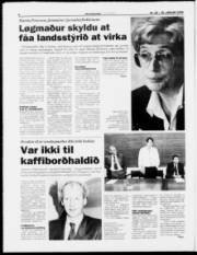 Síða 6