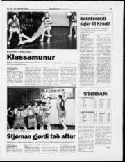 Síða 17