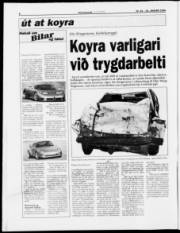 Síða 8