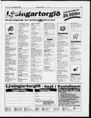 Síða 19