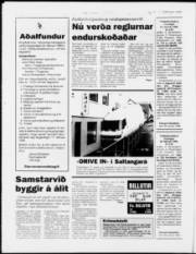 Síða 6