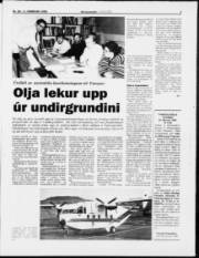 Síða 7