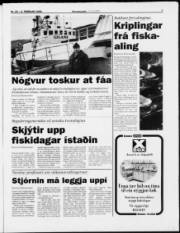 Síða 7