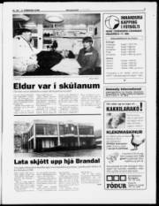 Síða 3