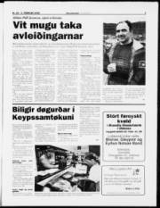 Síða 5