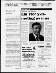Síða 2