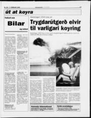 Síða 17