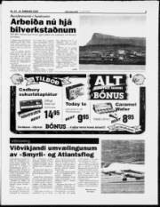 Síða 3