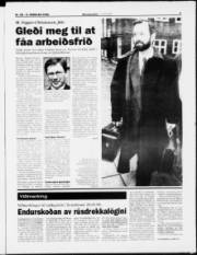 Síða 3