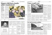 Síða 2