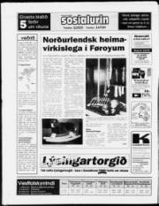 Síða 28