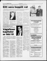 Síða 7