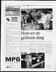Síða 12