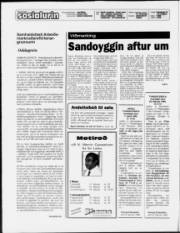 Síða 2