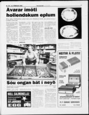 Síða 3