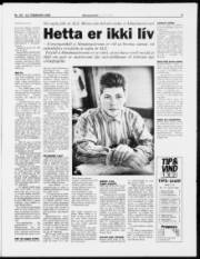 Síða 5