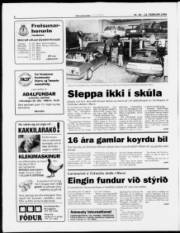 Síða 6