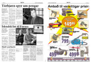 Síða 8