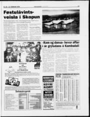 Síða 17