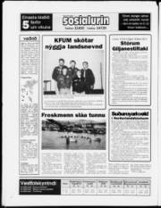 Síða 24