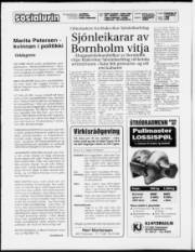 Síða 2