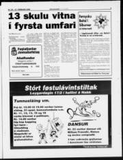 Síða 3