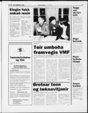 Síða 3