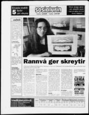 Síða 24