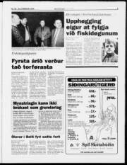 Síða 5