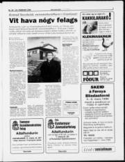 Síða 7