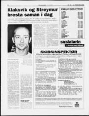 Síða 8