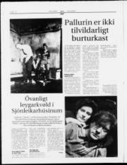 Síða 12
