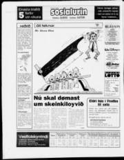 Síða 28