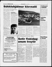 Síða 3