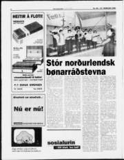 Síða 6