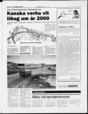 Síða 7