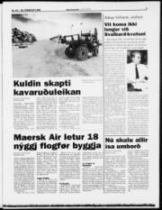 Síða 3