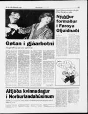 Síða 13