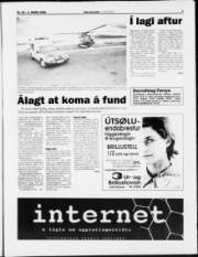 Síða 3