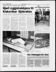 Síða 7
