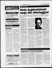Síða 8