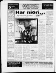 Síða 24