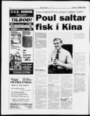 Síða 4