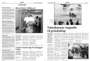 Síða 8