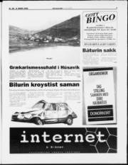 Síða 3