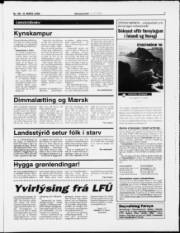 Síða 7