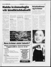 Síða 17
