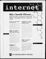Síða 3