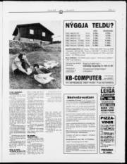 Síða 11
